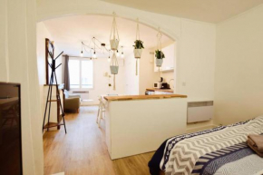 grand studio on the Place des Vosges